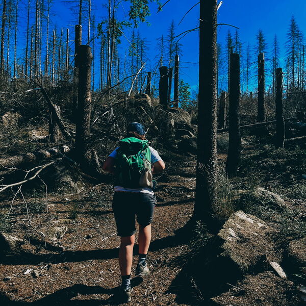 Geführte Klippen-Wanderung über einen besonderen Rundweg im Oberharz