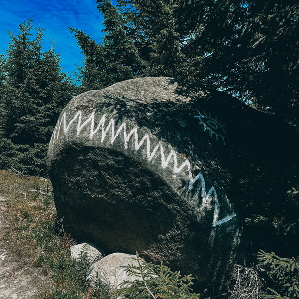 Geführte Klippen-Wanderung über einen besonderen Rundweg im Oberharz