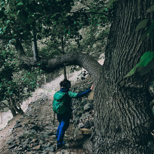 Die Wanderei bietet geführte Wandertouren im Harz (Brocken) und Umgebung an