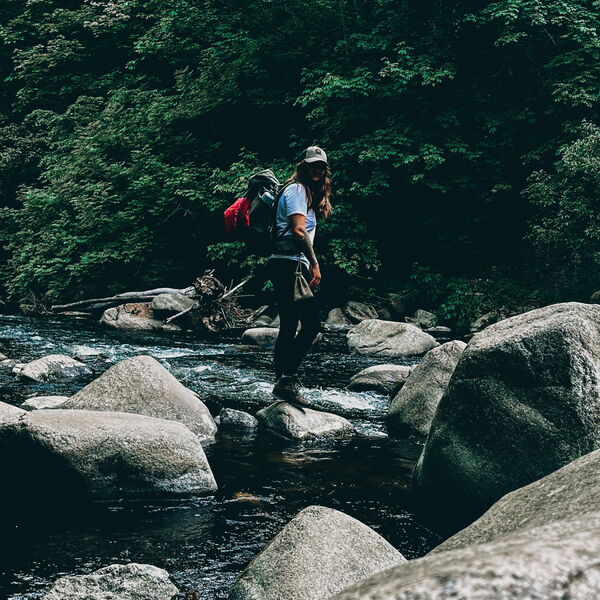 Die Wanderei bietet geführte Wandertouren im Harz (Brocken) und Umgebung an